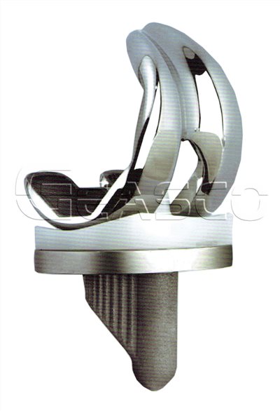 KNEE PROSTHESIS